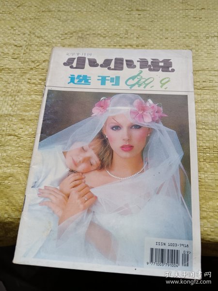 小小说选刊1999年第9期