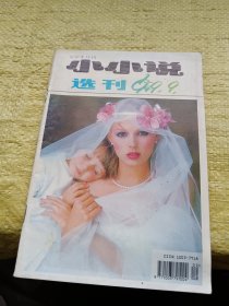 小小说选刊1999年第9期