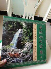 国家重点保护野生动物邮票专题册 自然的足音1   内有金丝猴等 几套金箔邮票   看图片