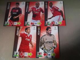 帕尼尼足球卡游戏版：2012—2013欧冠本菲卡普卡队套