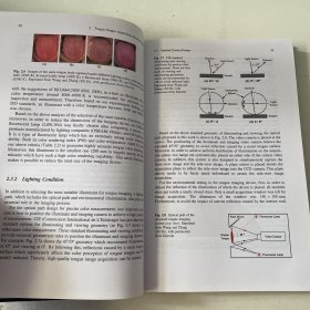 Tongue Image Analysis