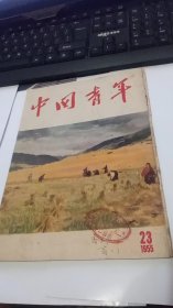 1955年第23期中国青年