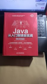 Java从入门到项目实战（全程视频版）