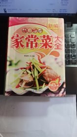 新编家常菜大全