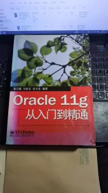 Oracle 11g从入门到精通