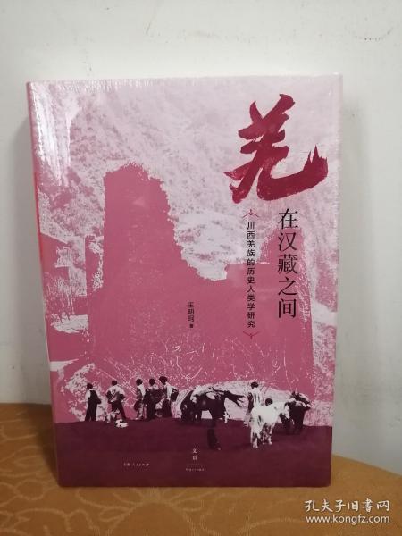 羌在汉藏之间：川西羌族的历史人类学研究（《华夏边缘》作者王明珂经典力作，川西羌族全解）