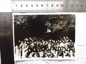 七八十年代云南某单位同志合影老照片