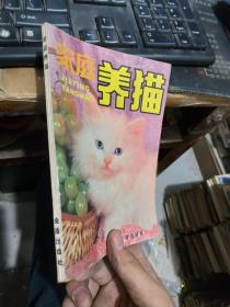 家庭养猫