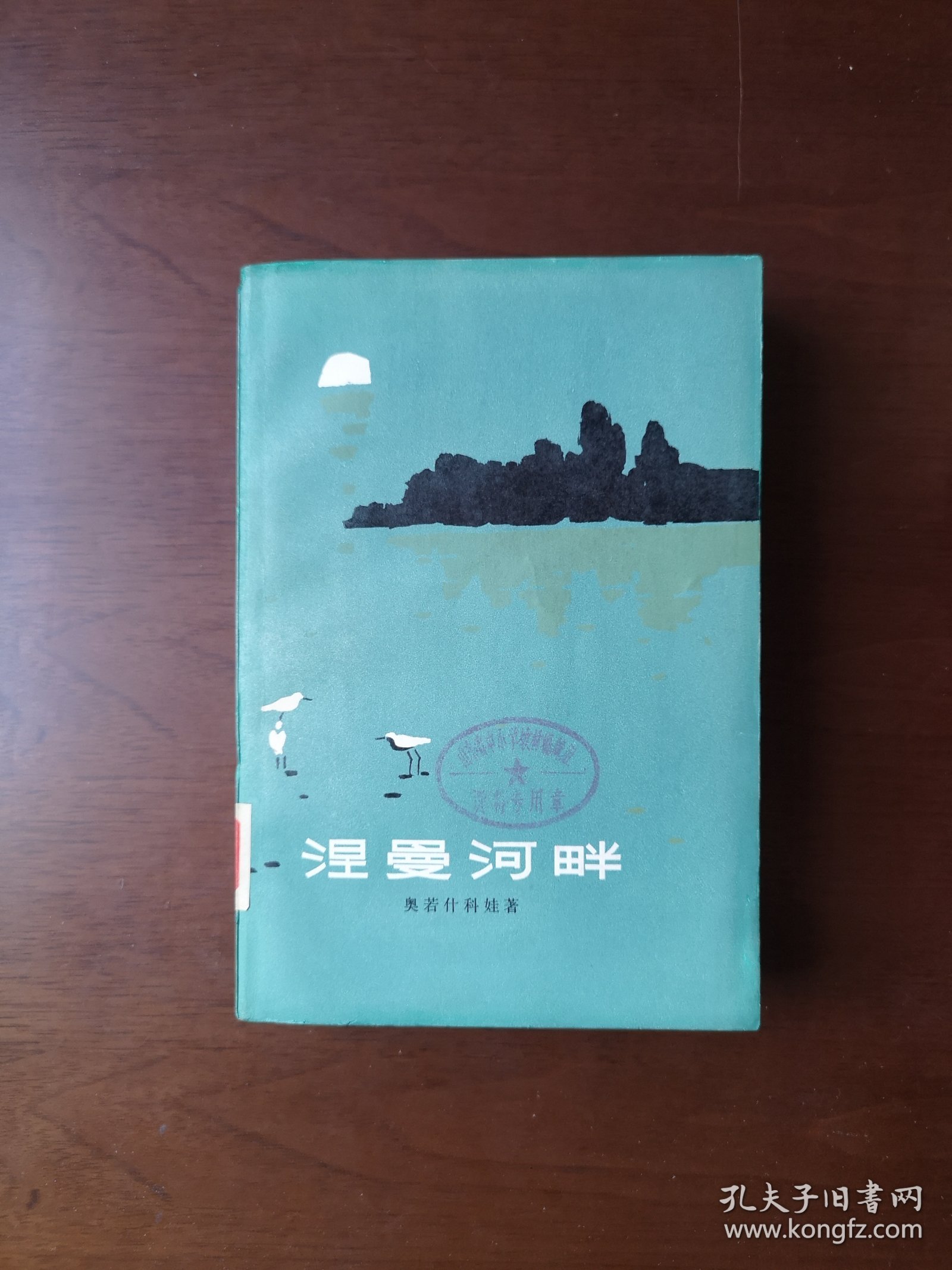 《涅曼河畔》（全一冊），人民文学出版社1979年平裝大32開、一版一印、館藏書籍、全新未閱！包順丰！