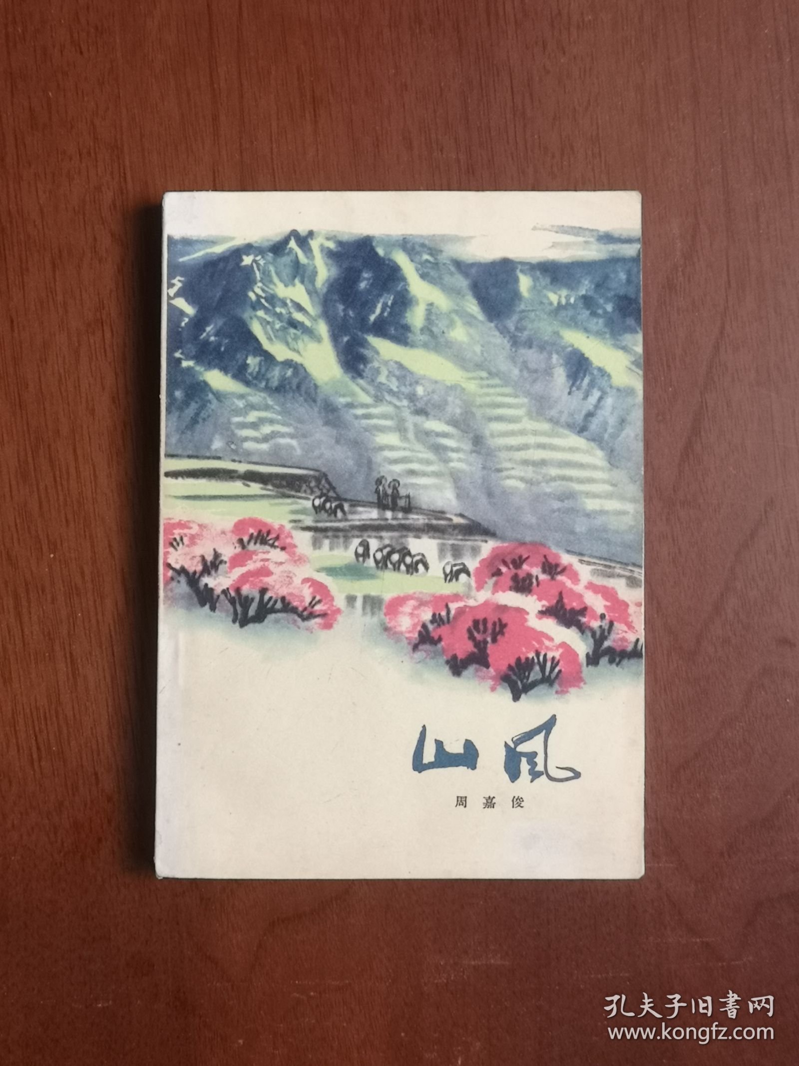 《山风》（全一冊），上海人民出版社1976年平裝32開、一版一印、私人藏書、包順丰！