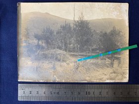 中华民国时期，老照片：苏州煤?山，背面清晰描写