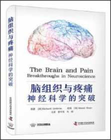脑组织与疼痛：神经科学的突破