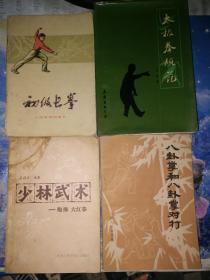 太极拳规范+少林武术+八卦掌和八卦掌对打初级长拳【4本合售】