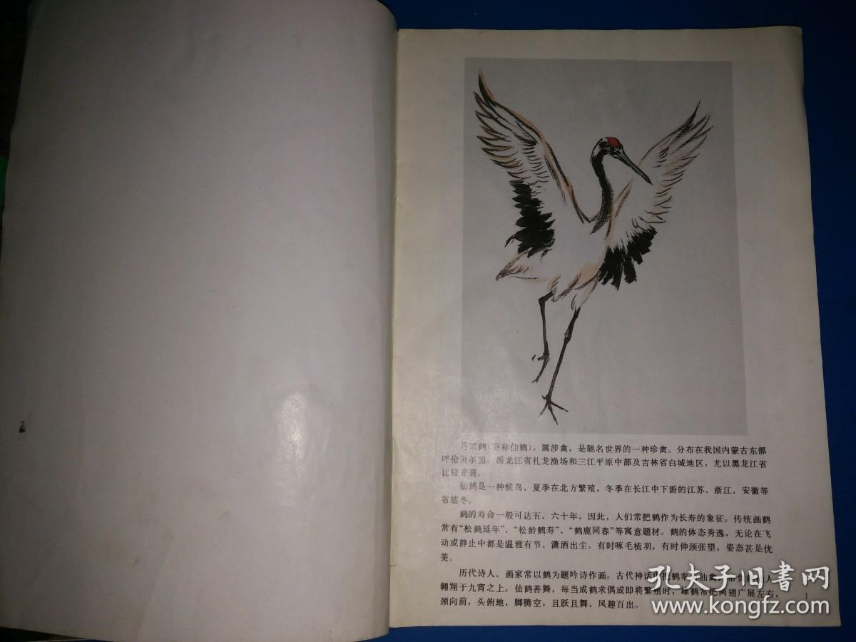 中国画自学丛书----怎样画仙鹤