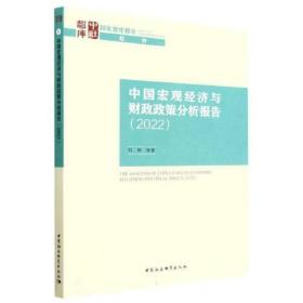 中国宏观经济与财政政策分析报告
