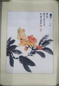 画 枇杷（马慧先）