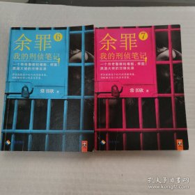 余罪6：我的刑侦笔记