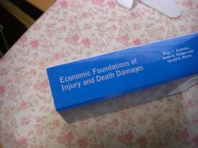 Economic foundations of injury and death damages