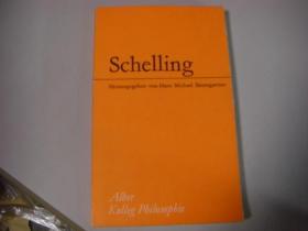 Schelling : Einführung in seine Philosophie