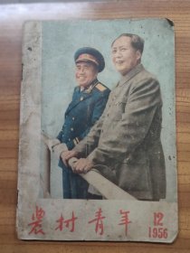 农村青年 1956年第12期