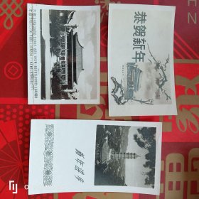 老照片、贺年片 三张 （北京 1959年）