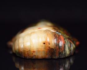 和田玉面谱
规格:   12×7.7×2.7厘米   重   201克。