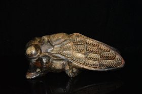 陨石，金蝉