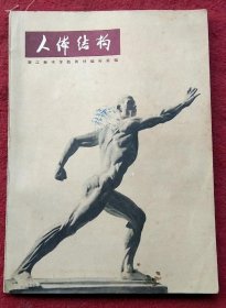人体结构