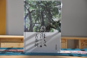 勐海古茶树