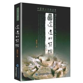 遥远的符号（中国高古玉器鉴赏 16开平装 全1册）