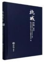 桃城年鉴2022(16开平装 全1册)