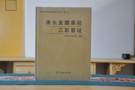 唐长安醴泉坊三彩窑址 (陕西省考古研究所田野考古报告第34号 16开精装 全1册)