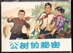 公树的秘密--天津版精品连环画库存品好罕见