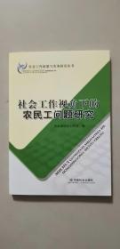 社会工作视角下的农民工问题研究