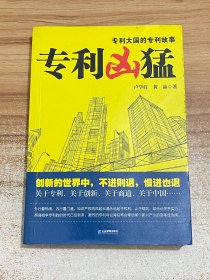 专利凶猛：第一部关于中国企业专利战略的商战小说