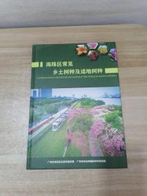 海珠区常见乡土树种及适地树种