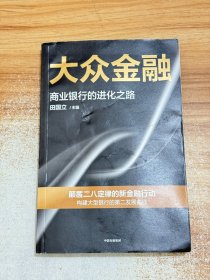 大众金融：颠覆二八定律的新金融行动，构建大型银行发展的第二曲线