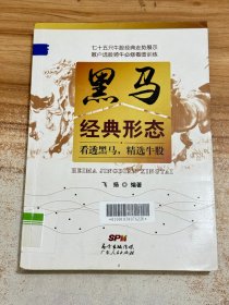 黑马经典形态