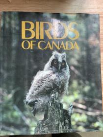 BIRDS OF CANADA