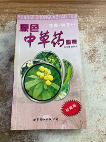 原色中草药图集.花果·种子2