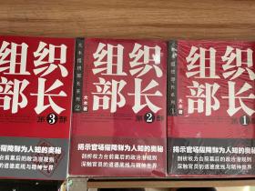 大木组织部长系列：组织部长（第1-3部）