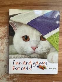 fun and games for cats