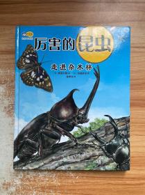 厉害的昆虫 走进杂木林，以真实的昆虫标本为基础来描绘，让孩子沉浸式体验观察小昆虫的一天，4-8岁科普百科启蒙绘本，小天角轻科普