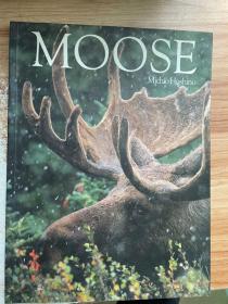 Moose