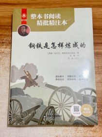 整本书阅读精批精注本:钢铁是怎样炼成的【有塑封】