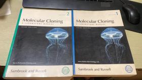 Molecular Cloning A LABORATORY MANUAL