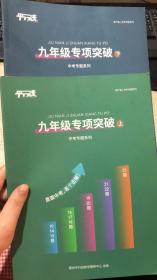 平行线教育 九年级专项突破 上下册 中考专题系列