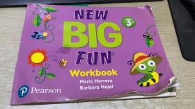 new big fun workbook 3