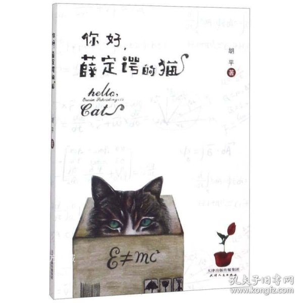 你好，薛定谔的猫