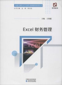 正版现货 Excel财务管理